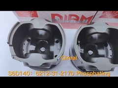 ৬২১২-৩১-২১-১৭০ ফসফেটিং